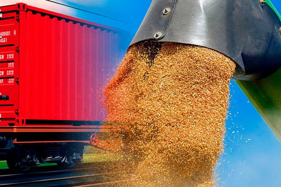 Установлен рекорд по экспорту сельхозпродукции из России